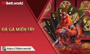 Đá Gà Miền Tây